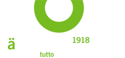 light logo